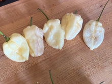 Load image into Gallery viewer, Purple Uprising White (Pepper Seeds)