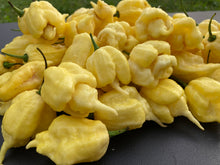 Load image into Gallery viewer, White Ghost Scorpion Mix (Bumpy, XL, & Meringue) (Pepper Seeds)