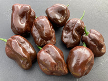 Load image into Gallery viewer, Habanero Chocolate (Pepper Seeds)