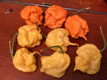 Load image into Gallery viewer, “Creamo” BOC X Primo (Cream) Pepper Seeds