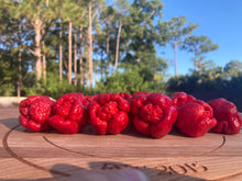 Load image into Gallery viewer, Trinidad Moruga Scorpion (Original)(Pepper Seeds)