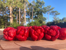 Load image into Gallery viewer, Trinidad Moruga Scorpion (Original)(Pepper Seeds)