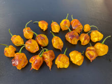 Load image into Gallery viewer, Dueling Horizon (South)(Pepper Seeds)