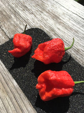 Load image into Gallery viewer, 7 Pot Douglah Billy Boy Red (Pepper Seeds)