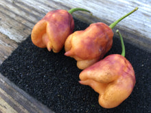 Load image into Gallery viewer, Taj Mahal Orange Tiger (Pepper Seeds)