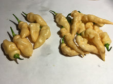 Load image into Gallery viewer, Tiger Murupi (Wrinkled Peach)(Pepper Seeds)
