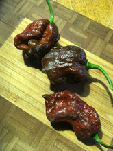 Load image into Gallery viewer, 7 Pot Chocolate (Pepper Seeds)