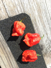 Load image into Gallery viewer, 7 Pot Douglah Billy Boy Red (Pepper Seeds)