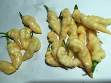 Load image into Gallery viewer, Tiger Murupi (Wrinkled Peach)(Pepper Seeds)