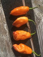Load image into Gallery viewer, PJ Orange OG (Pimenta Jolokia)(Pepper Seeds)