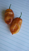 Load image into Gallery viewer, Taj Mahal Orange Minion (Pepper Seeds)