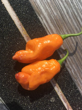 Load image into Gallery viewer, PJ Orange OG (Pimenta Jolokia)(Pepper Seeds)
