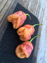 Load image into Gallery viewer, Taj Mahal Orange Tiger (Pepper Seeds)