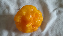 Load image into Gallery viewer, Scotch Brains (Pepper Seeds)