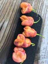 Load image into Gallery viewer, Taj Mahal Orange Tiger (Pepper Seeds)