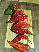 Load image into Gallery viewer, Red Tiger (Pepper Seeds)