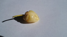 Load image into Gallery viewer, 7 Pot Bubblegum White (Pepper Seeds)