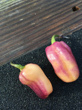 Load image into Gallery viewer, Puma Peach Habanero (Mini) (Pepper Seeds)