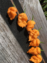 Load image into Gallery viewer, 7 Pot Douglah Peachy (Pepper Seeds)