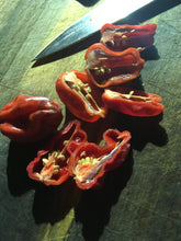 Load image into Gallery viewer, Purple BhutWrecker (Pepper Seeds)