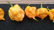 Load image into Gallery viewer, “Orange Creamo” (BOC X Primo Orange)(Pepper Seeds)