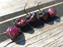 Load image into Gallery viewer, Roxa Lantern Black (Pepper Seeds)