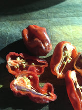 Load image into Gallery viewer, Purple BhutWrecker (Pepper Seeds)