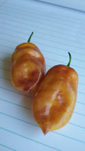 Load image into Gallery viewer, Taj Mahal Orange Minion (Pepper Seeds)