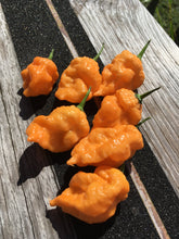 Load image into Gallery viewer, 7 Pot Douglah Peachy (Pepper Seeds)
