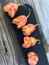 Load image into Gallery viewer, Taj Mahal Orange Tiger (Pepper Seeds)