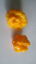 Load image into Gallery viewer, Scotch Brains (Pepper Seeds)