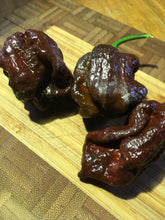 Load image into Gallery viewer, 7 Pot Chocolate (Pepper Seeds)