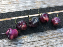 Load image into Gallery viewer, Roxa Lantern Black (Pepper Seeds)