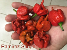 Load image into Gallery viewer, SuperHot Collection (Pepper Seeds)