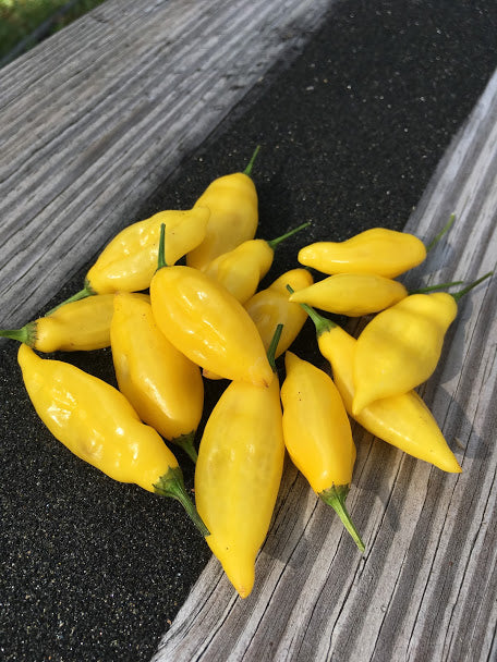 Aji Limon/Lemon (Pepper Seeds)