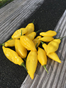 Aji Limon/Lemon (Pepper Seeds)