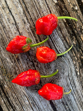 Load image into Gallery viewer, 7 Pot Bubblegum Red (Pepper Seeds)