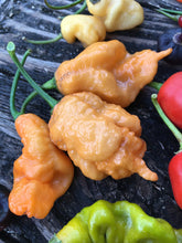 Load image into Gallery viewer, “Repo Man” (BOC X Reaper OG2)(Pepper Seeds)