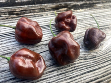 Load image into Gallery viewer, Habanero Chocolate (Pepper Seeds)