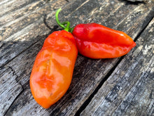 Load image into Gallery viewer, Red Horizon (Pepper Seeds)