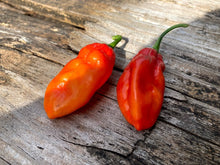 Load image into Gallery viewer, Red Horizon (Pepper Seeds)