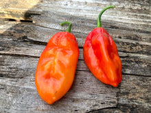 Load image into Gallery viewer, Red Horizon (Pepper Seeds)