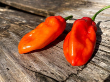 Load image into Gallery viewer, Red Horizon (Pepper Seeds)