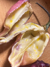 Load image into Gallery viewer, PJ Purple Ice Cream (Pepper Seeds)
