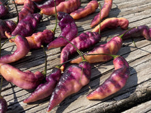 Load image into Gallery viewer, PJ Peach’z & Cream’z Mix (Pepper Seeds)