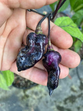 Load image into Gallery viewer, PJ XD (Pepper Seeds) (Pimenta Jolokia)