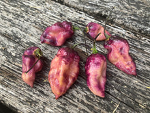 Load image into Gallery viewer, PJ Purple Ice Cream (Pepper Seeds)