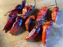 Load image into Gallery viewer, PJ Red OG (Pepper Seeds)
