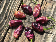 Load image into Gallery viewer, PJ Peach’z & Cream’z Mix (Pepper Seeds)