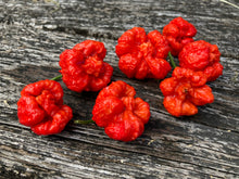 Load image into Gallery viewer, Trinidad Moruga Scorpion (Blend) (Pepper Seeds)